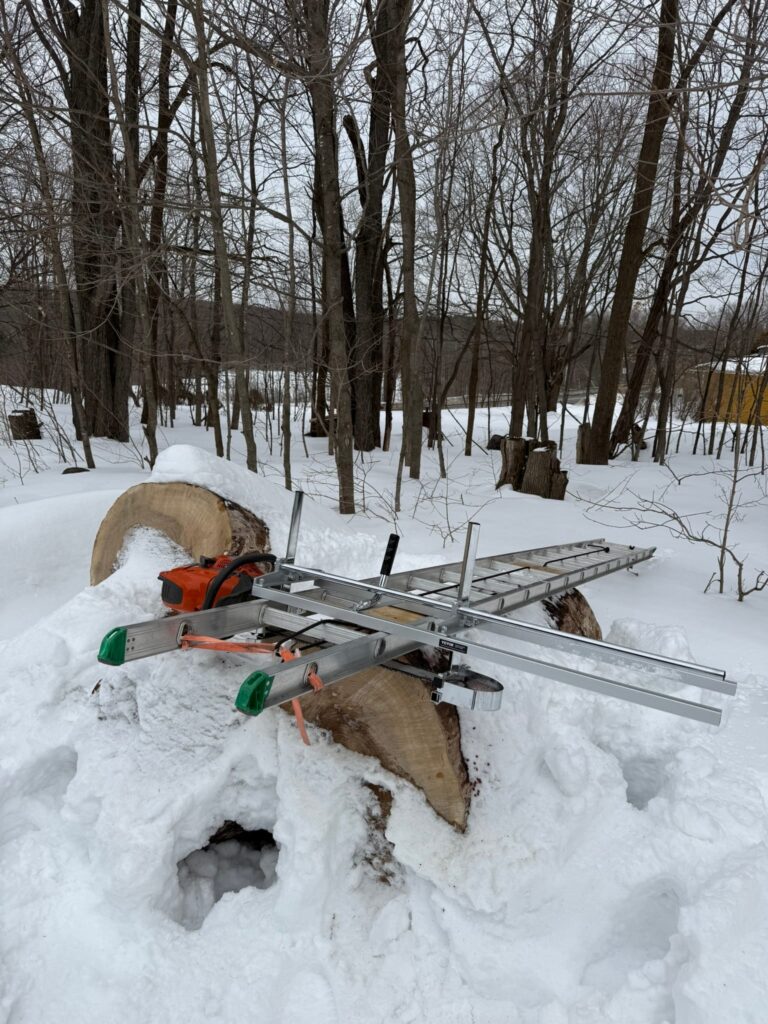 Moulin à chaîne installé sur un billot, en forêt : le bois est débité sur place